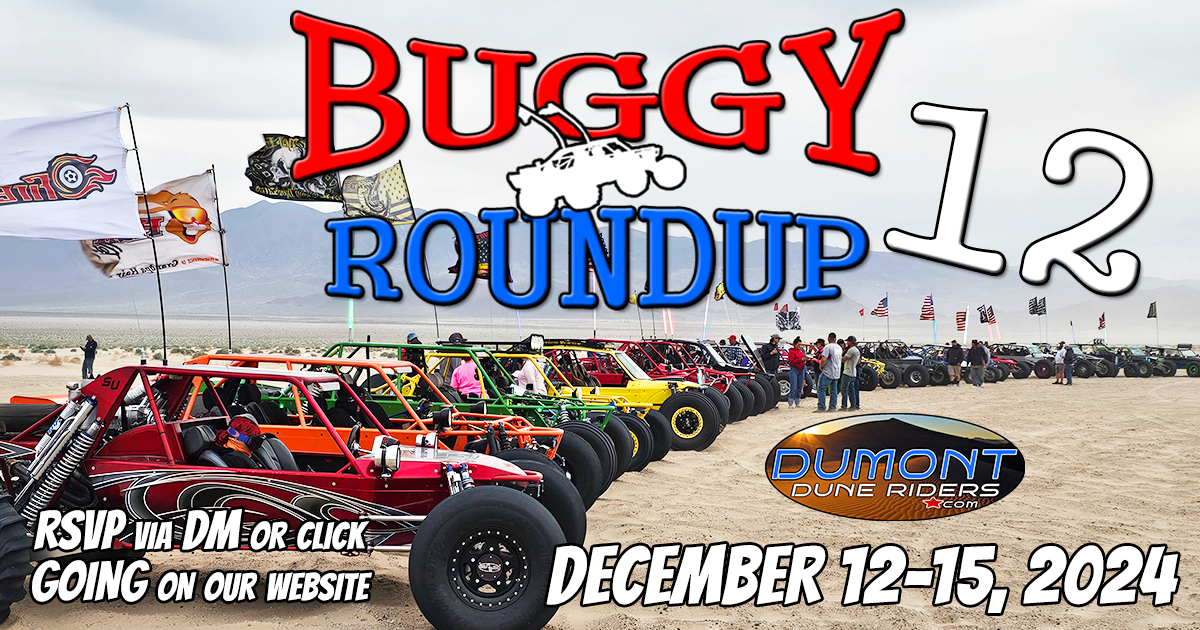 Buggy Roundup 12